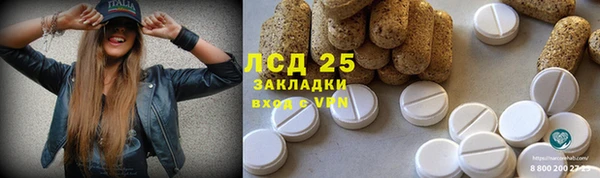 прущие грибы Абаза