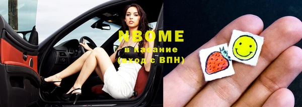 прущие грибы Абаза