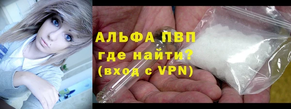 прущие грибы Абаза