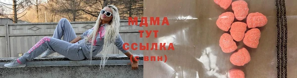 прущие грибы Абаза
