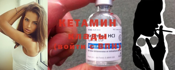прущие грибы Абаза
