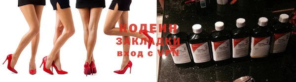 прущие грибы Абаза