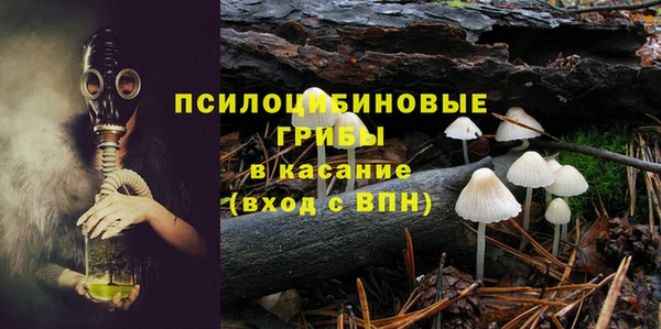 ГАЛЛЮЦИНОГЕННЫЕ ГРИБЫ Абинск