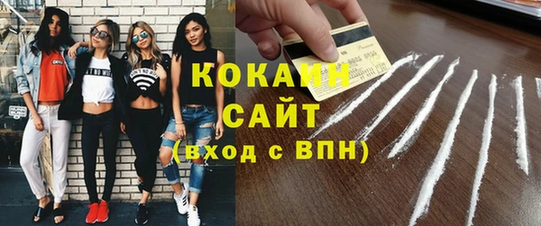 прущие грибы Абаза