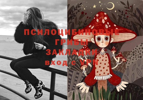 прущие грибы Абаза